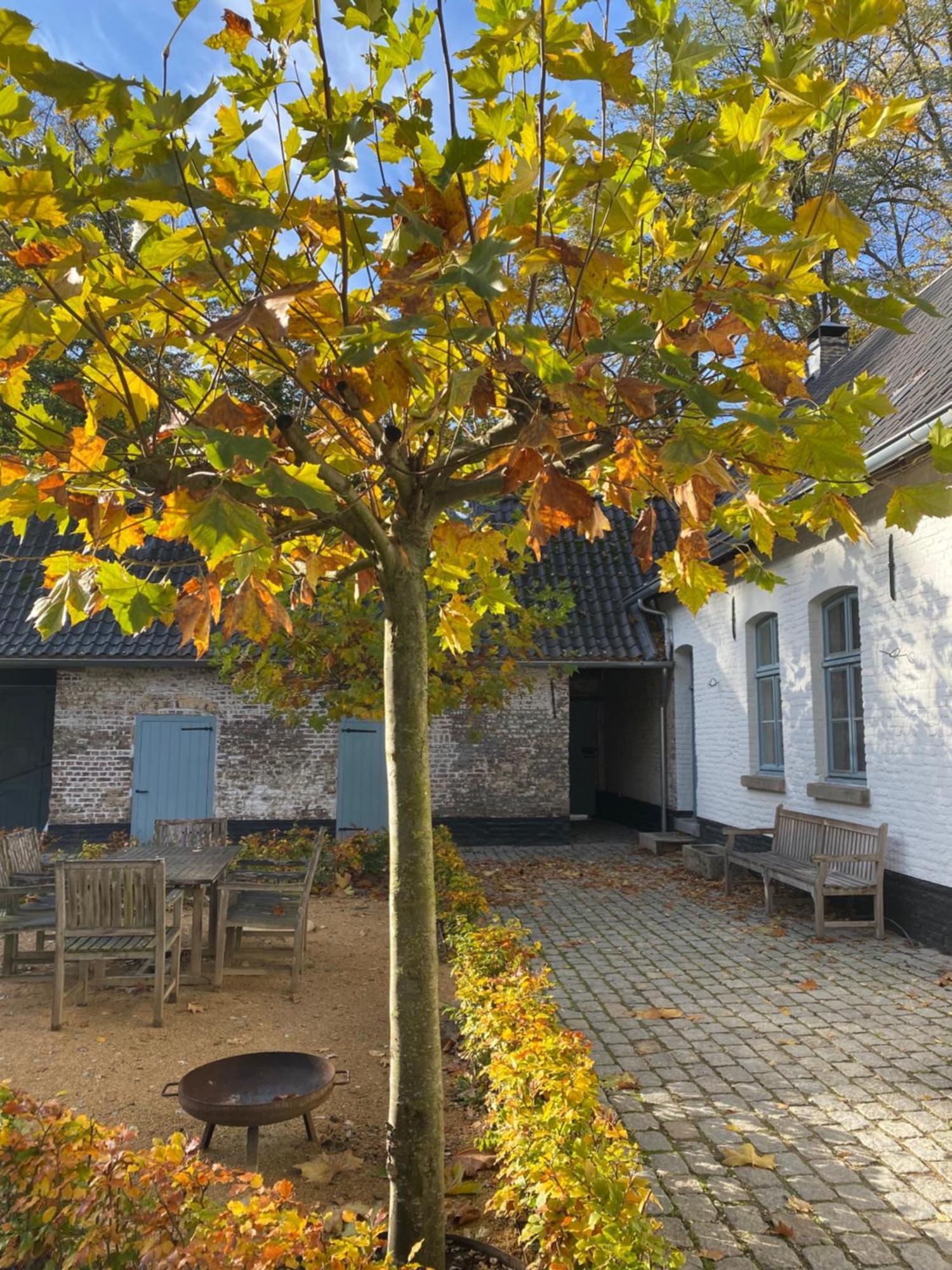 Cottage Landgoed Frymerson Sint Odiliënberg Exterior foto